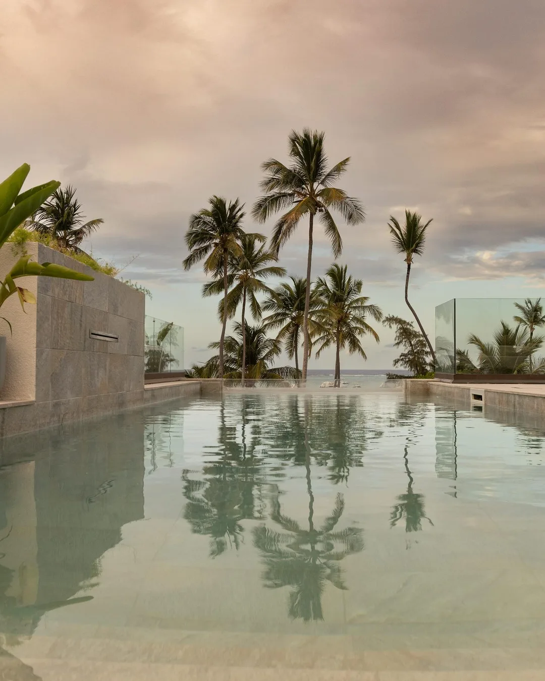 La piscina del rooftop al atardecer, entre palmeras